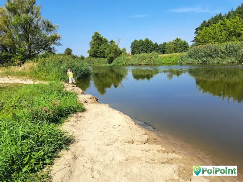 Zdjęcie miejsca: Plaża nad rzeką Wieprz — Lubartów